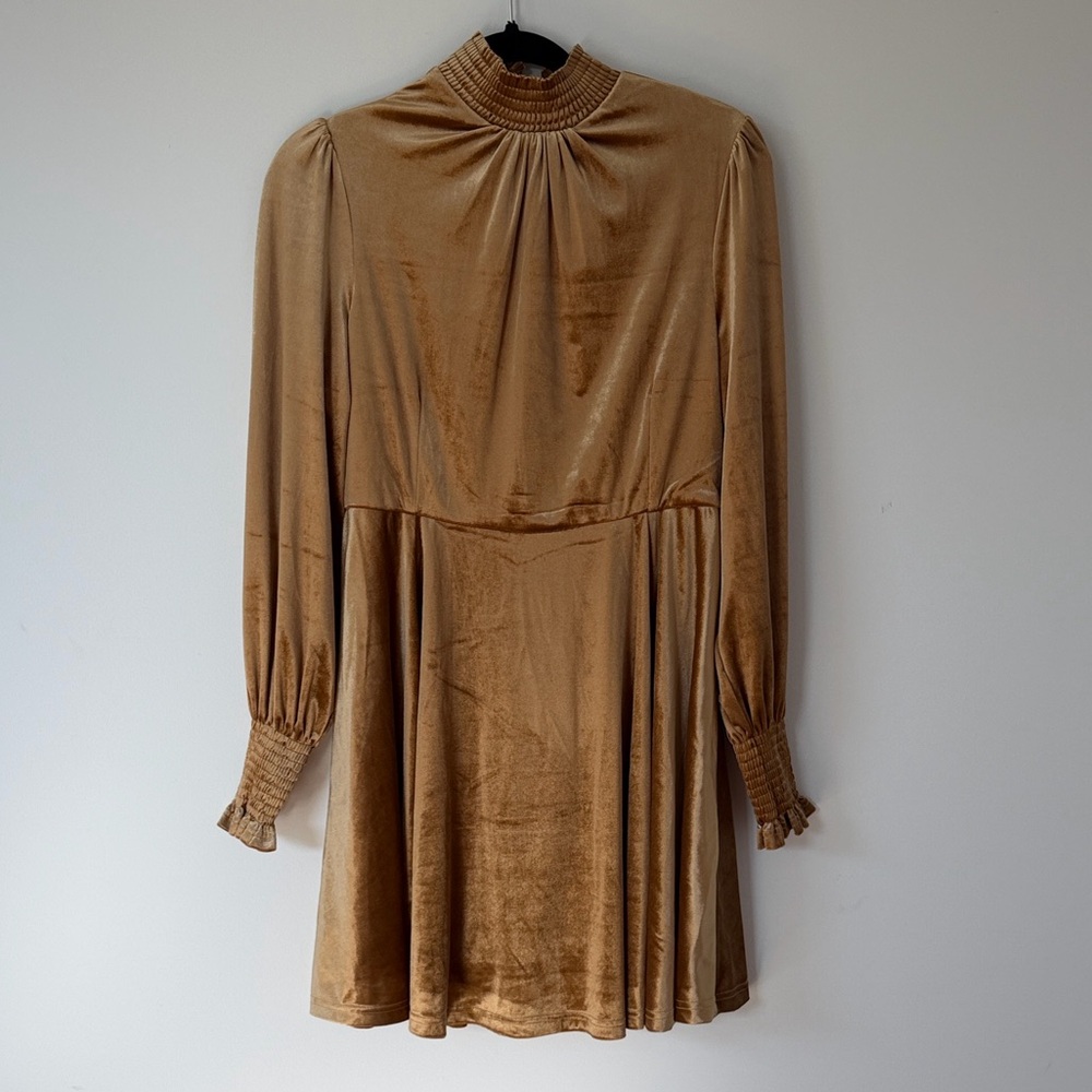 Elegant Long Sleeve Velvet Dress